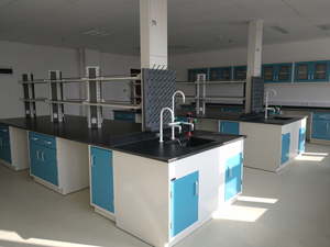 醫（yī）療行業實驗室家具案例