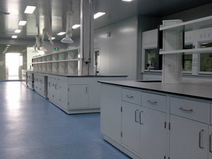 藥品行業實驗室家具（jù）案例