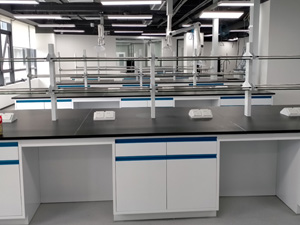 食品行業實驗室家具（jù）案例